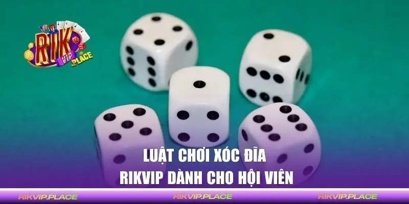 Hướng dẫn luật chơi xóc đĩa Rikvip cụ thể